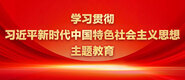 激情透屄啪啪学习贯彻习近平新时代中国特色社会主义思想主题教育_fororder_ad-371X160(2)